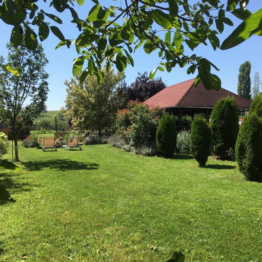 Domaine De La Mance - Maisonnette Avec Cheminee Vitrey-sur-Mance Exterior foto