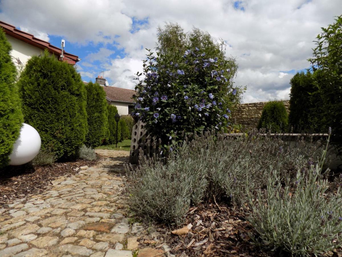 Domaine De La Mance - Maisonnette Avec Cheminee Vitrey-sur-Mance Exterior foto